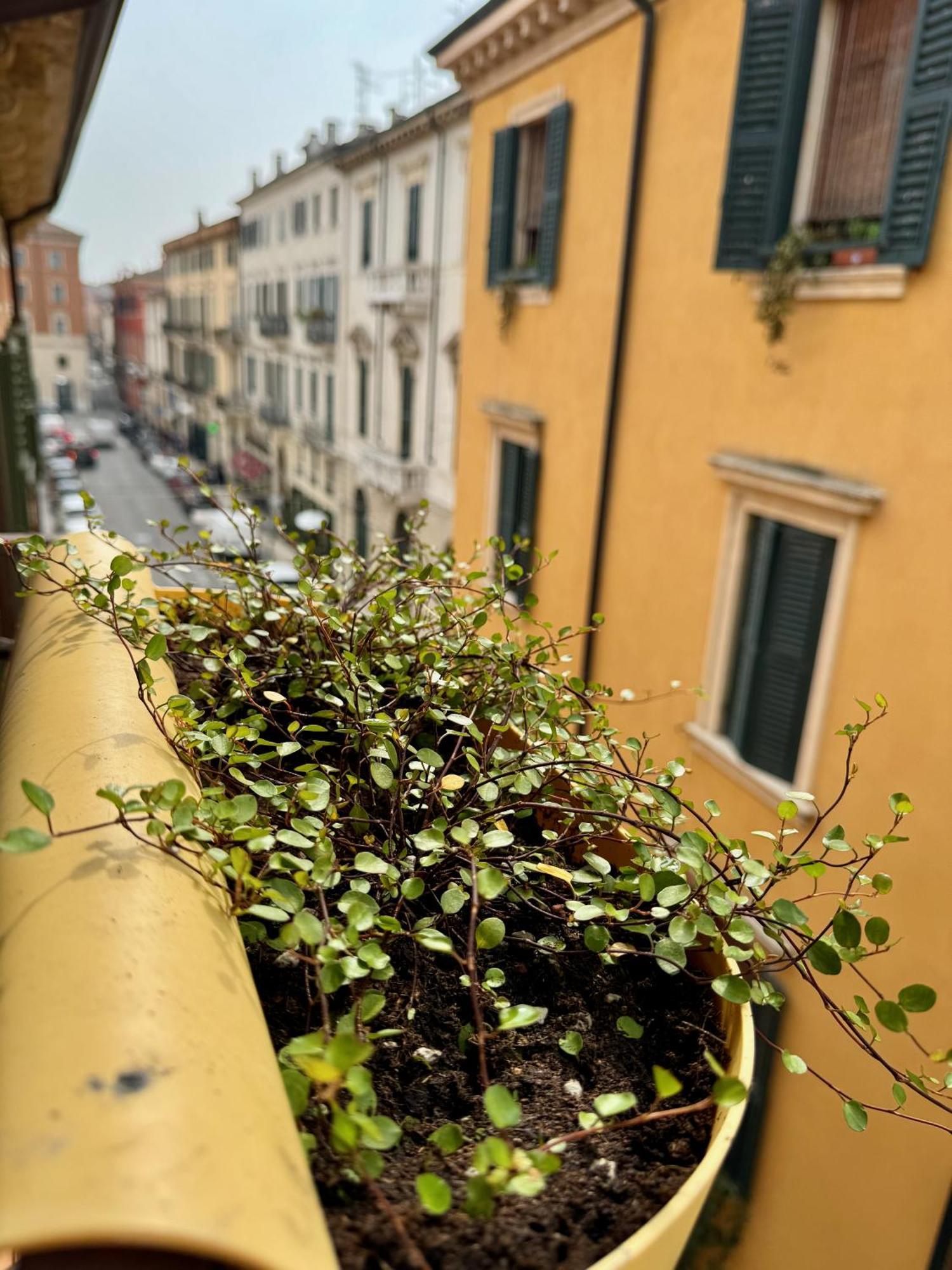 Domus Suites Verona Esterno foto